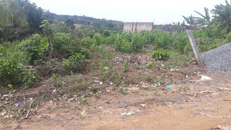 Terrain À Vendre À Pk 22 Douala 